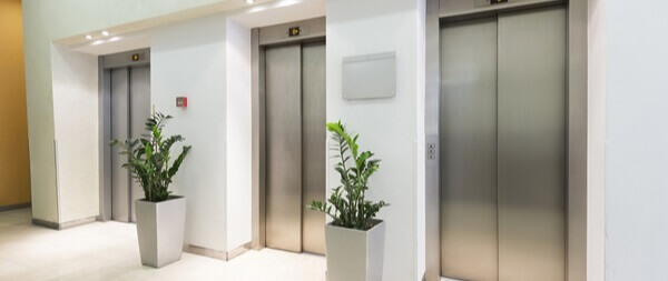 Corridor with three lifts and two potted plants